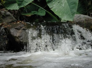 Green Ray Coaching - environment - small waterfall